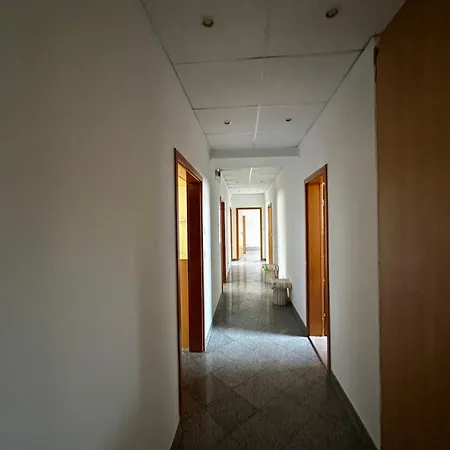 ハイデルベルク アパートメンツ * ハイデルベルク